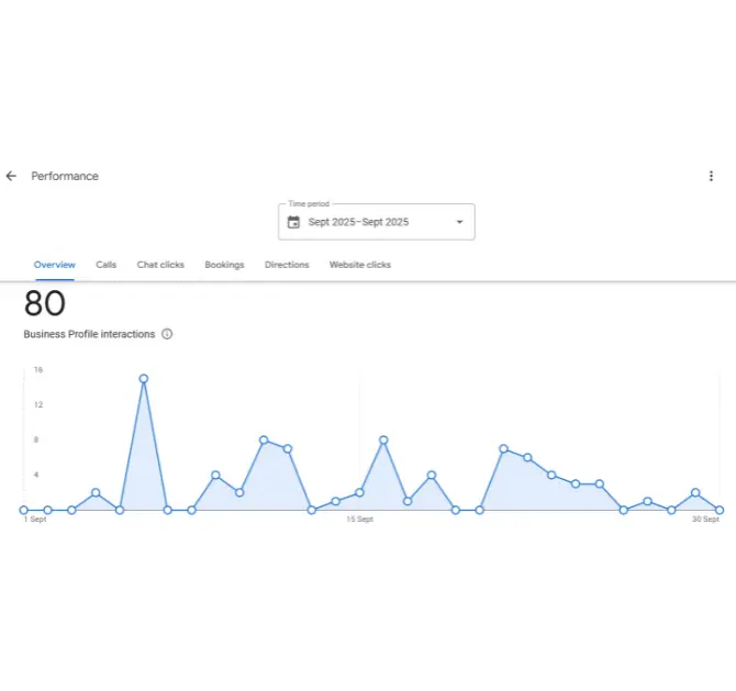 Google Business Listing Profile Visit Report